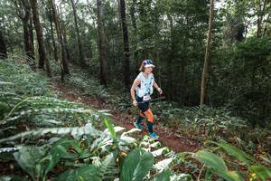 BIB: 
                            <button type="button" onclick="openModal(22543377)" class="btn btn-primary btn-sm float-right btn-popup" data-toggle="modal" data-target=".modal-high-quality">
                        <i class="fas fa-shopping-cart"></i> Add to Cart
                    </button>
                                            <button type="button" onclick="isThisMe(22543377, true)" class="btn btn-success btn-sm float-right btn-popup btn-isme hidden" data-toggle="tooltip" data-placement="bottom" title="นี่คือรูปของคุณใช่ไหม คลิกที่นี่เพื่อเอาเข้าอัลบั้ม">
                        <i class="fas fa-plus"></i> Add to album
                    </button>
                    <button type="button" onclick="isThisMe(22543377, false)" class="btn btn-warning btn-sm float-right btn-popup btn-isnotme hidden">
                        <i class="fas fa-ban"></i> Remove from album
                    </button>