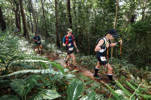 BIB: 
                            <button type="button" onclick="openModal(22547549)" class="btn btn-primary btn-sm float-right btn-popup" data-toggle="modal" data-target=".modal-high-quality">
                        <i class="fas fa-shopping-cart"></i> Add to Cart
                    </button>
                                            <button type="button" onclick="isThisMe(22547549, true)" class="btn btn-success btn-sm float-right btn-popup btn-isme hidden" data-toggle="tooltip" data-placement="bottom" title="นี่คือรูปของคุณใช่ไหม คลิกที่นี่เพื่อเอาเข้าอัลบั้ม">
                        <i class="fas fa-plus"></i> Add to album
                    </button>
                    <button type="button" onclick="isThisMe(22547549, false)" class="btn btn-warning btn-sm float-right btn-popup btn-isnotme hidden">
                        <i class="fas fa-ban"></i> Remove from album
                    </button>