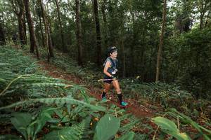 BIB: 
                            <button type="button" onclick="openModal(22535287)" class="btn btn-primary btn-sm float-right btn-popup" data-toggle="modal" data-target=".modal-high-quality">
                        <i class="fas fa-shopping-cart"></i> Add to Cart
                    </button>
                                            <button type="button" onclick="isThisMe(22535287, true)" class="btn btn-success btn-sm float-right btn-popup btn-isme hidden" data-toggle="tooltip" data-placement="bottom" title="นี่คือรูปของคุณใช่ไหม คลิกที่นี่เพื่อเอาเข้าอัลบั้ม">
                        <i class="fas fa-plus"></i> Add to album
                    </button>
                    <button type="button" onclick="isThisMe(22535287, false)" class="btn btn-warning btn-sm float-right btn-popup btn-isnotme hidden">
                        <i class="fas fa-ban"></i> Remove from album
                    </button>