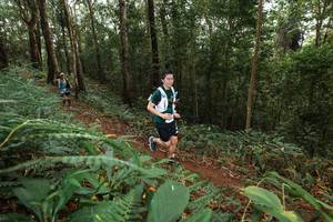 BIB: 
                            <button type="button" onclick="openModal(22534799)" class="btn btn-primary btn-sm float-right btn-popup" data-toggle="modal" data-target=".modal-high-quality">
                        <i class="fas fa-shopping-cart"></i> Add to Cart
                    </button>
                                            <button type="button" onclick="isThisMe(22534799, true)" class="btn btn-success btn-sm float-right btn-popup btn-isme hidden" data-toggle="tooltip" data-placement="bottom" title="นี่คือรูปของคุณใช่ไหม คลิกที่นี่เพื่อเอาเข้าอัลบั้ม">
                        <i class="fas fa-plus"></i> Add to album
                    </button>
                    <button type="button" onclick="isThisMe(22534799, false)" class="btn btn-warning btn-sm float-right btn-popup btn-isnotme hidden">
                        <i class="fas fa-ban"></i> Remove from album
                    </button>