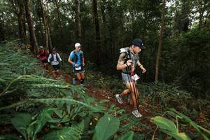 BIB: 
                            <button type="button" onclick="openModal(22533276)" class="btn btn-primary btn-sm float-right btn-popup" data-toggle="modal" data-target=".modal-high-quality">
                        <i class="fas fa-shopping-cart"></i> Add to Cart
                    </button>
                                            <button type="button" onclick="isThisMe(22533276, true)" class="btn btn-success btn-sm float-right btn-popup btn-isme hidden" data-toggle="tooltip" data-placement="bottom" title="นี่คือรูปของคุณใช่ไหม คลิกที่นี่เพื่อเอาเข้าอัลบั้ม">
                        <i class="fas fa-plus"></i> Add to album
                    </button>
                    <button type="button" onclick="isThisMe(22533276, false)" class="btn btn-warning btn-sm float-right btn-popup btn-isnotme hidden">
                        <i class="fas fa-ban"></i> Remove from album
                    </button>