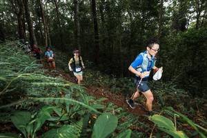 BIB: 
                            <button type="button" onclick="openModal(22538055)" class="btn btn-primary btn-sm float-right btn-popup" data-toggle="modal" data-target=".modal-high-quality">
                        <i class="fas fa-shopping-cart"></i> Add to Cart
                    </button>
                                            <button type="button" onclick="isThisMe(22538055, true)" class="btn btn-success btn-sm float-right btn-popup btn-isme hidden" data-toggle="tooltip" data-placement="bottom" title="นี่คือรูปของคุณใช่ไหม คลิกที่นี่เพื่อเอาเข้าอัลบั้ม">
                        <i class="fas fa-plus"></i> Add to album
                    </button>
                    <button type="button" onclick="isThisMe(22538055, false)" class="btn btn-warning btn-sm float-right btn-popup btn-isnotme hidden">
                        <i class="fas fa-ban"></i> Remove from album
                    </button>