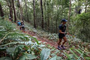 BIB: 
                            <button type="button" onclick="openModal(22566127)" class="btn btn-primary btn-sm float-right btn-popup" data-toggle="modal" data-target=".modal-high-quality">
                        <i class="fas fa-shopping-cart"></i> Add to Cart
                    </button>
                                            <button type="button" onclick="isThisMe(22566127, true)" class="btn btn-success btn-sm float-right btn-popup btn-isme hidden" data-toggle="tooltip" data-placement="bottom" title="นี่คือรูปของคุณใช่ไหม คลิกที่นี่เพื่อเอาเข้าอัลบั้ม">
                        <i class="fas fa-plus"></i> Add to album
                    </button>
                    <button type="button" onclick="isThisMe(22566127, false)" class="btn btn-warning btn-sm float-right btn-popup btn-isnotme hidden">
                        <i class="fas fa-ban"></i> Remove from album
                    </button>