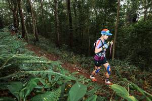 BIB: 
                            <button type="button" onclick="openModal(22533257)" class="btn btn-primary btn-sm float-right btn-popup" data-toggle="modal" data-target=".modal-high-quality">
                        <i class="fas fa-shopping-cart"></i> Add to Cart
                    </button>
                                            <button type="button" onclick="isThisMe(22533257, true)" class="btn btn-success btn-sm float-right btn-popup btn-isme hidden" data-toggle="tooltip" data-placement="bottom" title="นี่คือรูปของคุณใช่ไหม คลิกที่นี่เพื่อเอาเข้าอัลบั้ม">
                        <i class="fas fa-plus"></i> Add to album
                    </button>
                    <button type="button" onclick="isThisMe(22533257, false)" class="btn btn-warning btn-sm float-right btn-popup btn-isnotme hidden">
                        <i class="fas fa-ban"></i> Remove from album
                    </button>