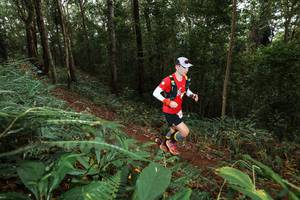 BIB: 
                            <button type="button" onclick="openModal(22533653)" class="btn btn-primary btn-sm float-right btn-popup" data-toggle="modal" data-target=".modal-high-quality">
                        <i class="fas fa-shopping-cart"></i> Add to Cart
                    </button>
                                            <button type="button" onclick="isThisMe(22533653, true)" class="btn btn-success btn-sm float-right btn-popup btn-isme hidden" data-toggle="tooltip" data-placement="bottom" title="นี่คือรูปของคุณใช่ไหม คลิกที่นี่เพื่อเอาเข้าอัลบั้ม">
                        <i class="fas fa-plus"></i> Add to album
                    </button>
                    <button type="button" onclick="isThisMe(22533653, false)" class="btn btn-warning btn-sm float-right btn-popup btn-isnotme hidden">
                        <i class="fas fa-ban"></i> Remove from album
                    </button>