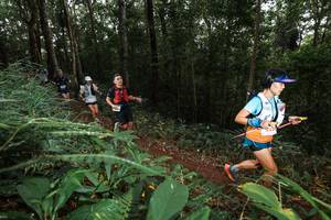 BIB: 
                            <button type="button" onclick="openModal(22538096)" class="btn btn-primary btn-sm float-right btn-popup" data-toggle="modal" data-target=".modal-high-quality">
                        <i class="fas fa-shopping-cart"></i> Add to Cart
                    </button>
                                            <button type="button" onclick="isThisMe(22538096, true)" class="btn btn-success btn-sm float-right btn-popup btn-isme hidden" data-toggle="tooltip" data-placement="bottom" title="นี่คือรูปของคุณใช่ไหม คลิกที่นี่เพื่อเอาเข้าอัลบั้ม">
                        <i class="fas fa-plus"></i> Add to album
                    </button>
                    <button type="button" onclick="isThisMe(22538096, false)" class="btn btn-warning btn-sm float-right btn-popup btn-isnotme hidden">
                        <i class="fas fa-ban"></i> Remove from album
                    </button>