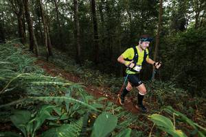 BIB: 
                            <button type="button" onclick="openModal(22533195)" class="btn btn-primary btn-sm float-right btn-popup" data-toggle="modal" data-target=".modal-high-quality">
                        <i class="fas fa-shopping-cart"></i> Add to Cart
                    </button>
                                            <button type="button" onclick="isThisMe(22533195, true)" class="btn btn-success btn-sm float-right btn-popup btn-isme hidden" data-toggle="tooltip" data-placement="bottom" title="นี่คือรูปของคุณใช่ไหม คลิกที่นี่เพื่อเอาเข้าอัลบั้ม">
                        <i class="fas fa-plus"></i> Add to album
                    </button>
                    <button type="button" onclick="isThisMe(22533195, false)" class="btn btn-warning btn-sm float-right btn-popup btn-isnotme hidden">
                        <i class="fas fa-ban"></i> Remove from album
                    </button>