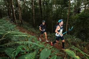 BIB: 
                            <button type="button" onclick="openModal(22533825)" class="btn btn-primary btn-sm float-right btn-popup" data-toggle="modal" data-target=".modal-high-quality">
                        <i class="fas fa-shopping-cart"></i> Add to Cart
                    </button>
                                            <button type="button" onclick="isThisMe(22533825, true)" class="btn btn-success btn-sm float-right btn-popup btn-isme hidden" data-toggle="tooltip" data-placement="bottom" title="นี่คือรูปของคุณใช่ไหม คลิกที่นี่เพื่อเอาเข้าอัลบั้ม">
                        <i class="fas fa-plus"></i> Add to album
                    </button>
                    <button type="button" onclick="isThisMe(22533825, false)" class="btn btn-warning btn-sm float-right btn-popup btn-isnotme hidden">
                        <i class="fas fa-ban"></i> Remove from album
                    </button>