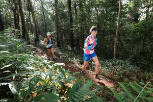 BIB: 
                            <button type="button" onclick="openModal(22544773)" class="btn btn-primary btn-sm float-right btn-popup" data-toggle="modal" data-target=".modal-high-quality">
                        <i class="fas fa-shopping-cart"></i> Add to Cart
                    </button>
                                            <button type="button" onclick="isThisMe(22544773, true)" class="btn btn-success btn-sm float-right btn-popup btn-isme hidden" data-toggle="tooltip" data-placement="bottom" title="นี่คือรูปของคุณใช่ไหม คลิกที่นี่เพื่อเอาเข้าอัลบั้ม">
                        <i class="fas fa-plus"></i> Add to album
                    </button>
                    <button type="button" onclick="isThisMe(22544773, false)" class="btn btn-warning btn-sm float-right btn-popup btn-isnotme hidden">
                        <i class="fas fa-ban"></i> Remove from album
                    </button>