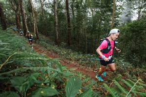 BIB: 
                            <button type="button" onclick="openModal(22571847)" class="btn btn-primary btn-sm float-right btn-popup" data-toggle="modal" data-target=".modal-high-quality">
                        <i class="fas fa-shopping-cart"></i> Add to Cart
                    </button>
                                            <button type="button" onclick="isThisMe(22571847, true)" class="btn btn-success btn-sm float-right btn-popup btn-isme hidden" data-toggle="tooltip" data-placement="bottom" title="นี่คือรูปของคุณใช่ไหม คลิกที่นี่เพื่อเอาเข้าอัลบั้ม">
                        <i class="fas fa-plus"></i> Add to album
                    </button>
                    <button type="button" onclick="isThisMe(22571847, false)" class="btn btn-warning btn-sm float-right btn-popup btn-isnotme hidden">
                        <i class="fas fa-ban"></i> Remove from album
                    </button>