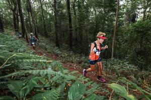 BIB: 
                            <button type="button" onclick="openModal(22542399)" class="btn btn-primary btn-sm float-right btn-popup" data-toggle="modal" data-target=".modal-high-quality">
                        <i class="fas fa-shopping-cart"></i> Add to Cart
                    </button>
                                            <button type="button" onclick="isThisMe(22542399, true)" class="btn btn-success btn-sm float-right btn-popup btn-isme hidden" data-toggle="tooltip" data-placement="bottom" title="นี่คือรูปของคุณใช่ไหม คลิกที่นี่เพื่อเอาเข้าอัลบั้ม">
                        <i class="fas fa-plus"></i> Add to album
                    </button>
                    <button type="button" onclick="isThisMe(22542399, false)" class="btn btn-warning btn-sm float-right btn-popup btn-isnotme hidden">
                        <i class="fas fa-ban"></i> Remove from album
                    </button>