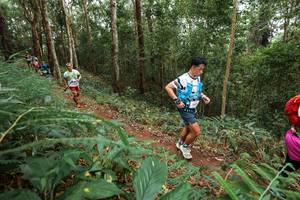 BIB: 
                            <button type="button" onclick="openModal(22570650)" class="btn btn-primary btn-sm float-right btn-popup" data-toggle="modal" data-target=".modal-high-quality">
                        <i class="fas fa-shopping-cart"></i> Add to Cart
                    </button>
                                            <button type="button" onclick="isThisMe(22570650, true)" class="btn btn-success btn-sm float-right btn-popup btn-isme hidden" data-toggle="tooltip" data-placement="bottom" title="นี่คือรูปของคุณใช่ไหม คลิกที่นี่เพื่อเอาเข้าอัลบั้ม">
                        <i class="fas fa-plus"></i> Add to album
                    </button>
                    <button type="button" onclick="isThisMe(22570650, false)" class="btn btn-warning btn-sm float-right btn-popup btn-isnotme hidden">
                        <i class="fas fa-ban"></i> Remove from album
                    </button>