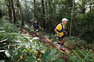 BIB: 
                            <button type="button" onclick="openModal(22544711)" class="btn btn-primary btn-sm float-right btn-popup" data-toggle="modal" data-target=".modal-high-quality">
                        <i class="fas fa-shopping-cart"></i> Add to Cart
                    </button>
                                            <button type="button" onclick="isThisMe(22544711, true)" class="btn btn-success btn-sm float-right btn-popup btn-isme hidden" data-toggle="tooltip" data-placement="bottom" title="นี่คือรูปของคุณใช่ไหม คลิกที่นี่เพื่อเอาเข้าอัลบั้ม">
                        <i class="fas fa-plus"></i> Add to album
                    </button>
                    <button type="button" onclick="isThisMe(22544711, false)" class="btn btn-warning btn-sm float-right btn-popup btn-isnotme hidden">
                        <i class="fas fa-ban"></i> Remove from album
                    </button>