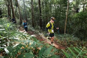 BIB: 
                            <button type="button" onclick="openModal(22545359)" class="btn btn-primary btn-sm float-right btn-popup" data-toggle="modal" data-target=".modal-high-quality">
                        <i class="fas fa-shopping-cart"></i> Add to Cart
                    </button>
                                            <button type="button" onclick="isThisMe(22545359, true)" class="btn btn-success btn-sm float-right btn-popup btn-isme hidden" data-toggle="tooltip" data-placement="bottom" title="นี่คือรูปของคุณใช่ไหม คลิกที่นี่เพื่อเอาเข้าอัลบั้ม">
                        <i class="fas fa-plus"></i> Add to album
                    </button>
                    <button type="button" onclick="isThisMe(22545359, false)" class="btn btn-warning btn-sm float-right btn-popup btn-isnotme hidden">
                        <i class="fas fa-ban"></i> Remove from album
                    </button>