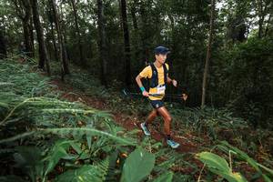 BIB: 100
                            <button type="button" onclick="openModal(22537516)" class="btn btn-primary btn-sm float-right btn-popup" data-toggle="modal" data-target=".modal-high-quality">
                        <i class="fas fa-shopping-cart"></i> Add to Cart
                    </button>
                                            <button type="button" onclick="isThisMe(22537516, true)" class="btn btn-success btn-sm float-right btn-popup btn-isme hidden" data-toggle="tooltip" data-placement="bottom" title="นี่คือรูปของคุณใช่ไหม คลิกที่นี่เพื่อเอาเข้าอัลบั้ม">
                        <i class="fas fa-plus"></i> Add to album
                    </button>
                    <button type="button" onclick="isThisMe(22537516, false)" class="btn btn-warning btn-sm float-right btn-popup btn-isnotme hidden">
                        <i class="fas fa-ban"></i> Remove from album
                    </button>