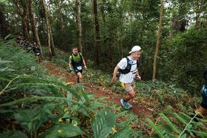 BIB: 
                            <button type="button" onclick="openModal(22569509)" class="btn btn-primary btn-sm float-right btn-popup" data-toggle="modal" data-target=".modal-high-quality">
                        <i class="fas fa-shopping-cart"></i> Add to Cart
                    </button>
                                            <button type="button" onclick="isThisMe(22569509, true)" class="btn btn-success btn-sm float-right btn-popup btn-isme hidden" data-toggle="tooltip" data-placement="bottom" title="นี่คือรูปของคุณใช่ไหม คลิกที่นี่เพื่อเอาเข้าอัลบั้ม">
                        <i class="fas fa-plus"></i> Add to album
                    </button>
                    <button type="button" onclick="isThisMe(22569509, false)" class="btn btn-warning btn-sm float-right btn-popup btn-isnotme hidden">
                        <i class="fas fa-ban"></i> Remove from album
                    </button>