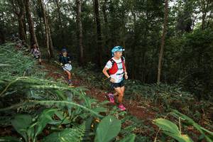 BIB: 
                            <button type="button" onclick="openModal(22538303)" class="btn btn-primary btn-sm float-right btn-popup" data-toggle="modal" data-target=".modal-high-quality">
                        <i class="fas fa-shopping-cart"></i> Add to Cart
                    </button>
                                            <button type="button" onclick="isThisMe(22538303, true)" class="btn btn-success btn-sm float-right btn-popup btn-isme hidden" data-toggle="tooltip" data-placement="bottom" title="นี่คือรูปของคุณใช่ไหม คลิกที่นี่เพื่อเอาเข้าอัลบั้ม">
                        <i class="fas fa-plus"></i> Add to album
                    </button>
                    <button type="button" onclick="isThisMe(22538303, false)" class="btn btn-warning btn-sm float-right btn-popup btn-isnotme hidden">
                        <i class="fas fa-ban"></i> Remove from album
                    </button>