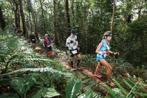 BIB: 518
                            <button type="button" onclick="openModal(22547301)" class="btn btn-primary btn-sm float-right btn-popup" data-toggle="modal" data-target=".modal-high-quality">
                        <i class="fas fa-shopping-cart"></i> Add to Cart
                    </button>
                                            <button type="button" onclick="isThisMe(22547301, true)" class="btn btn-success btn-sm float-right btn-popup btn-isme hidden" data-toggle="tooltip" data-placement="bottom" title="นี่คือรูปของคุณใช่ไหม คลิกที่นี่เพื่อเอาเข้าอัลบั้ม">
                        <i class="fas fa-plus"></i> Add to album
                    </button>
                    <button type="button" onclick="isThisMe(22547301, false)" class="btn btn-warning btn-sm float-right btn-popup btn-isnotme hidden">
                        <i class="fas fa-ban"></i> Remove from album
                    </button>