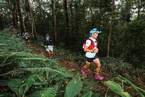 BIB: 
                            <button type="button" onclick="openModal(22538352)" class="btn btn-primary btn-sm float-right btn-popup" data-toggle="modal" data-target=".modal-high-quality">
                        <i class="fas fa-shopping-cart"></i> Add to Cart
                    </button>
                                            <button type="button" onclick="isThisMe(22538352, true)" class="btn btn-success btn-sm float-right btn-popup btn-isme hidden" data-toggle="tooltip" data-placement="bottom" title="นี่คือรูปของคุณใช่ไหม คลิกที่นี่เพื่อเอาเข้าอัลบั้ม">
                        <i class="fas fa-plus"></i> Add to album
                    </button>
                    <button type="button" onclick="isThisMe(22538352, false)" class="btn btn-warning btn-sm float-right btn-popup btn-isnotme hidden">
                        <i class="fas fa-ban"></i> Remove from album
                    </button>