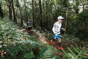 BIB: 
                            <button type="button" onclick="openModal(22546647)" class="btn btn-primary btn-sm float-right btn-popup" data-toggle="modal" data-target=".modal-high-quality">
                        <i class="fas fa-shopping-cart"></i> Add to Cart
                    </button>
                                            <button type="button" onclick="isThisMe(22546647, true)" class="btn btn-success btn-sm float-right btn-popup btn-isme hidden" data-toggle="tooltip" data-placement="bottom" title="นี่คือรูปของคุณใช่ไหม คลิกที่นี่เพื่อเอาเข้าอัลบั้ม">
                        <i class="fas fa-plus"></i> Add to album
                    </button>
                    <button type="button" onclick="isThisMe(22546647, false)" class="btn btn-warning btn-sm float-right btn-popup btn-isnotme hidden">
                        <i class="fas fa-ban"></i> Remove from album
                    </button>