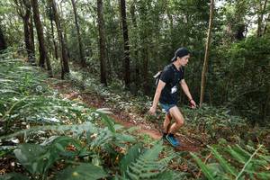 BIB: 
                            <button type="button" onclick="openModal(22545858)" class="btn btn-primary btn-sm float-right btn-popup" data-toggle="modal" data-target=".modal-high-quality">
                        <i class="fas fa-shopping-cart"></i> Add to Cart
                    </button>
                                            <button type="button" onclick="isThisMe(22545858, true)" class="btn btn-success btn-sm float-right btn-popup btn-isme hidden" data-toggle="tooltip" data-placement="bottom" title="นี่คือรูปของคุณใช่ไหม คลิกที่นี่เพื่อเอาเข้าอัลบั้ม">
                        <i class="fas fa-plus"></i> Add to album
                    </button>
                    <button type="button" onclick="isThisMe(22545858, false)" class="btn btn-warning btn-sm float-right btn-popup btn-isnotme hidden">
                        <i class="fas fa-ban"></i> Remove from album
                    </button>