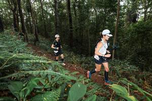 BIB: 
                            <button type="button" onclick="openModal(22541397)" class="btn btn-primary btn-sm float-right btn-popup" data-toggle="modal" data-target=".modal-high-quality">
                        <i class="fas fa-shopping-cart"></i> Add to Cart
                    </button>
                                            <button type="button" onclick="isThisMe(22541397, true)" class="btn btn-success btn-sm float-right btn-popup btn-isme hidden" data-toggle="tooltip" data-placement="bottom" title="นี่คือรูปของคุณใช่ไหม คลิกที่นี่เพื่อเอาเข้าอัลบั้ม">
                        <i class="fas fa-plus"></i> Add to album
                    </button>
                    <button type="button" onclick="isThisMe(22541397, false)" class="btn btn-warning btn-sm float-right btn-popup btn-isnotme hidden">
                        <i class="fas fa-ban"></i> Remove from album
                    </button>