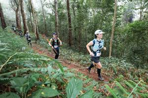 BIB: 
                            <button type="button" onclick="openModal(22573776)" class="btn btn-primary btn-sm float-right btn-popup" data-toggle="modal" data-target=".modal-high-quality">
                        <i class="fas fa-shopping-cart"></i> Add to Cart
                    </button>
                                            <button type="button" onclick="isThisMe(22573776, true)" class="btn btn-success btn-sm float-right btn-popup btn-isme hidden" data-toggle="tooltip" data-placement="bottom" title="นี่คือรูปของคุณใช่ไหม คลิกที่นี่เพื่อเอาเข้าอัลบั้ม">
                        <i class="fas fa-plus"></i> Add to album
                    </button>
                    <button type="button" onclick="isThisMe(22573776, false)" class="btn btn-warning btn-sm float-right btn-popup btn-isnotme hidden">
                        <i class="fas fa-ban"></i> Remove from album
                    </button>