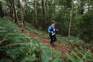 BIB: 
                            <button type="button" onclick="openModal(22568681)" class="btn btn-primary btn-sm float-right btn-popup" data-toggle="modal" data-target=".modal-high-quality">
                        <i class="fas fa-shopping-cart"></i> Add to Cart
                    </button>
                                            <button type="button" onclick="isThisMe(22568681, true)" class="btn btn-success btn-sm float-right btn-popup btn-isme hidden" data-toggle="tooltip" data-placement="bottom" title="นี่คือรูปของคุณใช่ไหม คลิกที่นี่เพื่อเอาเข้าอัลบั้ม">
                        <i class="fas fa-plus"></i> Add to album
                    </button>
                    <button type="button" onclick="isThisMe(22568681, false)" class="btn btn-warning btn-sm float-right btn-popup btn-isnotme hidden">
                        <i class="fas fa-ban"></i> Remove from album
                    </button>