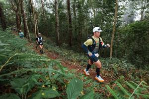 BIB: 
                            <button type="button" onclick="openModal(22571911)" class="btn btn-primary btn-sm float-right btn-popup" data-toggle="modal" data-target=".modal-high-quality">
                        <i class="fas fa-shopping-cart"></i> Add to Cart
                    </button>
                                            <button type="button" onclick="isThisMe(22571911, true)" class="btn btn-success btn-sm float-right btn-popup btn-isme hidden" data-toggle="tooltip" data-placement="bottom" title="นี่คือรูปของคุณใช่ไหม คลิกที่นี่เพื่อเอาเข้าอัลบั้ม">
                        <i class="fas fa-plus"></i> Add to album
                    </button>
                    <button type="button" onclick="isThisMe(22571911, false)" class="btn btn-warning btn-sm float-right btn-popup btn-isnotme hidden">
                        <i class="fas fa-ban"></i> Remove from album
                    </button>