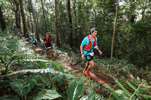 BIB: 
                            <button type="button" onclick="openModal(22547390)" class="btn btn-primary btn-sm float-right btn-popup" data-toggle="modal" data-target=".modal-high-quality">
                        <i class="fas fa-shopping-cart"></i> Add to Cart
                    </button>
                                            <button type="button" onclick="isThisMe(22547390, true)" class="btn btn-success btn-sm float-right btn-popup btn-isme hidden" data-toggle="tooltip" data-placement="bottom" title="นี่คือรูปของคุณใช่ไหม คลิกที่นี่เพื่อเอาเข้าอัลบั้ม">
                        <i class="fas fa-plus"></i> Add to album
                    </button>
                    <button type="button" onclick="isThisMe(22547390, false)" class="btn btn-warning btn-sm float-right btn-popup btn-isnotme hidden">
                        <i class="fas fa-ban"></i> Remove from album
                    </button>