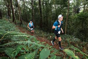 BIB: 
                            <button type="button" onclick="openModal(22535601)" class="btn btn-primary btn-sm float-right btn-popup" data-toggle="modal" data-target=".modal-high-quality">
                        <i class="fas fa-shopping-cart"></i> Add to Cart
                    </button>
                                            <button type="button" onclick="isThisMe(22535601, true)" class="btn btn-success btn-sm float-right btn-popup btn-isme hidden" data-toggle="tooltip" data-placement="bottom" title="นี่คือรูปของคุณใช่ไหม คลิกที่นี่เพื่อเอาเข้าอัลบั้ม">
                        <i class="fas fa-plus"></i> Add to album
                    </button>
                    <button type="button" onclick="isThisMe(22535601, false)" class="btn btn-warning btn-sm float-right btn-popup btn-isnotme hidden">
                        <i class="fas fa-ban"></i> Remove from album
                    </button>