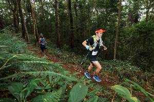 BIB: 
                            <button type="button" onclick="openModal(22534485)" class="btn btn-primary btn-sm float-right btn-popup" data-toggle="modal" data-target=".modal-high-quality">
                        <i class="fas fa-shopping-cart"></i> Add to Cart
                    </button>
                                            <button type="button" onclick="isThisMe(22534485, true)" class="btn btn-success btn-sm float-right btn-popup btn-isme hidden" data-toggle="tooltip" data-placement="bottom" title="นี่คือรูปของคุณใช่ไหม คลิกที่นี่เพื่อเอาเข้าอัลบั้ม">
                        <i class="fas fa-plus"></i> Add to album
                    </button>
                    <button type="button" onclick="isThisMe(22534485, false)" class="btn btn-warning btn-sm float-right btn-popup btn-isnotme hidden">
                        <i class="fas fa-ban"></i> Remove from album
                    </button>