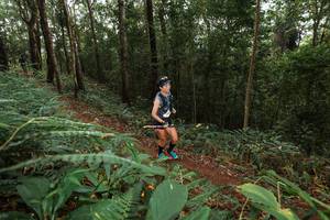 BIB: 
                            <button type="button" onclick="openModal(22535286)" class="btn btn-primary btn-sm float-right btn-popup" data-toggle="modal" data-target=".modal-high-quality">
                        <i class="fas fa-shopping-cart"></i> Add to Cart
                    </button>
                                            <button type="button" onclick="isThisMe(22535286, true)" class="btn btn-success btn-sm float-right btn-popup btn-isme hidden" data-toggle="tooltip" data-placement="bottom" title="นี่คือรูปของคุณใช่ไหม คลิกที่นี่เพื่อเอาเข้าอัลบั้ม">
                        <i class="fas fa-plus"></i> Add to album
                    </button>
                    <button type="button" onclick="isThisMe(22535286, false)" class="btn btn-warning btn-sm float-right btn-popup btn-isnotme hidden">
                        <i class="fas fa-ban"></i> Remove from album
                    </button>