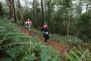 BIB: 
                            <button type="button" onclick="openModal(22572066)" class="btn btn-primary btn-sm float-right btn-popup" data-toggle="modal" data-target=".modal-high-quality">
                        <i class="fas fa-shopping-cart"></i> Add to Cart
                    </button>
                                            <button type="button" onclick="isThisMe(22572066, true)" class="btn btn-success btn-sm float-right btn-popup btn-isme hidden" data-toggle="tooltip" data-placement="bottom" title="นี่คือรูปของคุณใช่ไหม คลิกที่นี่เพื่อเอาเข้าอัลบั้ม">
                        <i class="fas fa-plus"></i> Add to album
                    </button>
                    <button type="button" onclick="isThisMe(22572066, false)" class="btn btn-warning btn-sm float-right btn-popup btn-isnotme hidden">
                        <i class="fas fa-ban"></i> Remove from album
                    </button>