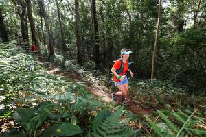 BIB: 
                            <button type="button" onclick="openModal(22546405)" class="btn btn-primary btn-sm float-right btn-popup" data-toggle="modal" data-target=".modal-high-quality">
                        <i class="fas fa-shopping-cart"></i> Add to Cart
                    </button>
                                            <button type="button" onclick="isThisMe(22546405, true)" class="btn btn-success btn-sm float-right btn-popup btn-isme hidden" data-toggle="tooltip" data-placement="bottom" title="นี่คือรูปของคุณใช่ไหม คลิกที่นี่เพื่อเอาเข้าอัลบั้ม">
                        <i class="fas fa-plus"></i> Add to album
                    </button>
                    <button type="button" onclick="isThisMe(22546405, false)" class="btn btn-warning btn-sm float-right btn-popup btn-isnotme hidden">
                        <i class="fas fa-ban"></i> Remove from album
                    </button>