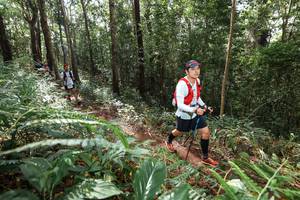 BIB: 
                            <button type="button" onclick="openModal(22561801)" class="btn btn-primary btn-sm float-right btn-popup" data-toggle="modal" data-target=".modal-high-quality">
                        <i class="fas fa-shopping-cart"></i> Add to Cart
                    </button>
                                            <button type="button" onclick="isThisMe(22561801, true)" class="btn btn-success btn-sm float-right btn-popup btn-isme hidden" data-toggle="tooltip" data-placement="bottom" title="นี่คือรูปของคุณใช่ไหม คลิกที่นี่เพื่อเอาเข้าอัลบั้ม">
                        <i class="fas fa-plus"></i> Add to album
                    </button>
                    <button type="button" onclick="isThisMe(22561801, false)" class="btn btn-warning btn-sm float-right btn-popup btn-isnotme hidden">
                        <i class="fas fa-ban"></i> Remove from album
                    </button>