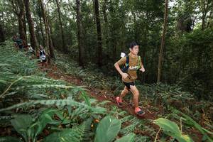 BIB: 
                            <button type="button" onclick="openModal(22537101)" class="btn btn-primary btn-sm float-right btn-popup" data-toggle="modal" data-target=".modal-high-quality">
                        <i class="fas fa-shopping-cart"></i> Add to Cart
                    </button>
                                            <button type="button" onclick="isThisMe(22537101, true)" class="btn btn-success btn-sm float-right btn-popup btn-isme hidden" data-toggle="tooltip" data-placement="bottom" title="นี่คือรูปของคุณใช่ไหม คลิกที่นี่เพื่อเอาเข้าอัลบั้ม">
                        <i class="fas fa-plus"></i> Add to album
                    </button>
                    <button type="button" onclick="isThisMe(22537101, false)" class="btn btn-warning btn-sm float-right btn-popup btn-isnotme hidden">
                        <i class="fas fa-ban"></i> Remove from album
                    </button>