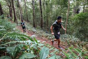 BIB: 
                            <button type="button" onclick="openModal(22567080)" class="btn btn-primary btn-sm float-right btn-popup" data-toggle="modal" data-target=".modal-high-quality">
                        <i class="fas fa-shopping-cart"></i> Add to Cart
                    </button>
                                            <button type="button" onclick="isThisMe(22567080, true)" class="btn btn-success btn-sm float-right btn-popup btn-isme hidden" data-toggle="tooltip" data-placement="bottom" title="นี่คือรูปของคุณใช่ไหม คลิกที่นี่เพื่อเอาเข้าอัลบั้ม">
                        <i class="fas fa-plus"></i> Add to album
                    </button>
                    <button type="button" onclick="isThisMe(22567080, false)" class="btn btn-warning btn-sm float-right btn-popup btn-isnotme hidden">
                        <i class="fas fa-ban"></i> Remove from album
                    </button>