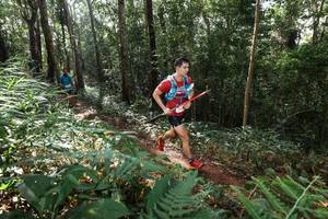 BIB: 
                            <button type="button" onclick="openModal(22546217)" class="btn btn-primary btn-sm float-right btn-popup" data-toggle="modal" data-target=".modal-high-quality">
                        <i class="fas fa-shopping-cart"></i> Add to Cart
                    </button>
                                            <button type="button" onclick="isThisMe(22546217, true)" class="btn btn-success btn-sm float-right btn-popup btn-isme hidden" data-toggle="tooltip" data-placement="bottom" title="นี่คือรูปของคุณใช่ไหม คลิกที่นี่เพื่อเอาเข้าอัลบั้ม">
                        <i class="fas fa-plus"></i> Add to album
                    </button>
                    <button type="button" onclick="isThisMe(22546217, false)" class="btn btn-warning btn-sm float-right btn-popup btn-isnotme hidden">
                        <i class="fas fa-ban"></i> Remove from album
                    </button>