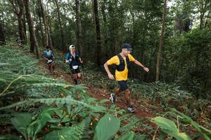 BIB: 
                            <button type="button" onclick="openModal(22535475)" class="btn btn-primary btn-sm float-right btn-popup" data-toggle="modal" data-target=".modal-high-quality">
                        <i class="fas fa-shopping-cart"></i> Add to Cart
                    </button>
                                            <button type="button" onclick="isThisMe(22535475, true)" class="btn btn-success btn-sm float-right btn-popup btn-isme hidden" data-toggle="tooltip" data-placement="bottom" title="นี่คือรูปของคุณใช่ไหม คลิกที่นี่เพื่อเอาเข้าอัลบั้ม">
                        <i class="fas fa-plus"></i> Add to album
                    </button>
                    <button type="button" onclick="isThisMe(22535475, false)" class="btn btn-warning btn-sm float-right btn-popup btn-isnotme hidden">
                        <i class="fas fa-ban"></i> Remove from album
                    </button>