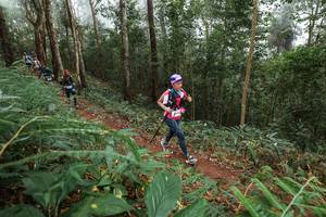 BIB: 
                            <button type="button" onclick="openModal(22571997)" class="btn btn-primary btn-sm float-right btn-popup" data-toggle="modal" data-target=".modal-high-quality">
                        <i class="fas fa-shopping-cart"></i> Add to Cart
                    </button>
                                            <button type="button" onclick="isThisMe(22571997, true)" class="btn btn-success btn-sm float-right btn-popup btn-isme hidden" data-toggle="tooltip" data-placement="bottom" title="นี่คือรูปของคุณใช่ไหม คลิกที่นี่เพื่อเอาเข้าอัลบั้ม">
                        <i class="fas fa-plus"></i> Add to album
                    </button>
                    <button type="button" onclick="isThisMe(22571997, false)" class="btn btn-warning btn-sm float-right btn-popup btn-isnotme hidden">
                        <i class="fas fa-ban"></i> Remove from album
                    </button>