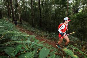 BIB: 
                            <button type="button" onclick="openModal(22536729)" class="btn btn-primary btn-sm float-right btn-popup" data-toggle="modal" data-target=".modal-high-quality">
                        <i class="fas fa-shopping-cart"></i> Add to Cart
                    </button>
                                            <button type="button" onclick="isThisMe(22536729, true)" class="btn btn-success btn-sm float-right btn-popup btn-isme hidden" data-toggle="tooltip" data-placement="bottom" title="นี่คือรูปของคุณใช่ไหม คลิกที่นี่เพื่อเอาเข้าอัลบั้ม">
                        <i class="fas fa-plus"></i> Add to album
                    </button>
                    <button type="button" onclick="isThisMe(22536729, false)" class="btn btn-warning btn-sm float-right btn-popup btn-isnotme hidden">
                        <i class="fas fa-ban"></i> Remove from album
                    </button>