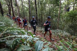 BIB: 
                            <button type="button" onclick="openModal(22564952)" class="btn btn-primary btn-sm float-right btn-popup" data-toggle="modal" data-target=".modal-high-quality">
                        <i class="fas fa-shopping-cart"></i> Add to Cart
                    </button>
                                            <button type="button" onclick="isThisMe(22564952, true)" class="btn btn-success btn-sm float-right btn-popup btn-isme hidden" data-toggle="tooltip" data-placement="bottom" title="นี่คือรูปของคุณใช่ไหม คลิกที่นี่เพื่อเอาเข้าอัลบั้ม">
                        <i class="fas fa-plus"></i> Add to album
                    </button>
                    <button type="button" onclick="isThisMe(22564952, false)" class="btn btn-warning btn-sm float-right btn-popup btn-isnotme hidden">
                        <i class="fas fa-ban"></i> Remove from album
                    </button>