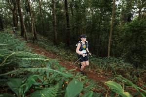 BIB: 
                            <button type="button" onclick="openModal(22534381)" class="btn btn-primary btn-sm float-right btn-popup" data-toggle="modal" data-target=".modal-high-quality">
                        <i class="fas fa-shopping-cart"></i> Add to Cart
                    </button>
                                            <button type="button" onclick="isThisMe(22534381, true)" class="btn btn-success btn-sm float-right btn-popup btn-isme hidden" data-toggle="tooltip" data-placement="bottom" title="นี่คือรูปของคุณใช่ไหม คลิกที่นี่เพื่อเอาเข้าอัลบั้ม">
                        <i class="fas fa-plus"></i> Add to album
                    </button>
                    <button type="button" onclick="isThisMe(22534381, false)" class="btn btn-warning btn-sm float-right btn-popup btn-isnotme hidden">
                        <i class="fas fa-ban"></i> Remove from album
                    </button>