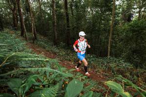 BIB: 3004
                            <button type="button" onclick="openModal(22533914)" class="btn btn-primary btn-sm float-right btn-popup" data-toggle="modal" data-target=".modal-high-quality">
                        <i class="fas fa-shopping-cart"></i> Add to Cart
                    </button>
                                            <button type="button" onclick="isThisMe(22533914, true)" class="btn btn-success btn-sm float-right btn-popup btn-isme hidden" data-toggle="tooltip" data-placement="bottom" title="นี่คือรูปของคุณใช่ไหม คลิกที่นี่เพื่อเอาเข้าอัลบั้ม">
                        <i class="fas fa-plus"></i> Add to album
                    </button>
                    <button type="button" onclick="isThisMe(22533914, false)" class="btn btn-warning btn-sm float-right btn-popup btn-isnotme hidden">
                        <i class="fas fa-ban"></i> Remove from album
                    </button>