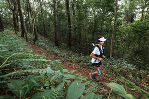 BIB: 
                            <button type="button" onclick="openModal(22541572)" class="btn btn-primary btn-sm float-right btn-popup" data-toggle="modal" data-target=".modal-high-quality">
                        <i class="fas fa-shopping-cart"></i> Add to Cart
                    </button>
                                            <button type="button" onclick="isThisMe(22541572, true)" class="btn btn-success btn-sm float-right btn-popup btn-isme hidden" data-toggle="tooltip" data-placement="bottom" title="นี่คือรูปของคุณใช่ไหม คลิกที่นี่เพื่อเอาเข้าอัลบั้ม">
                        <i class="fas fa-plus"></i> Add to album
                    </button>
                    <button type="button" onclick="isThisMe(22541572, false)" class="btn btn-warning btn-sm float-right btn-popup btn-isnotme hidden">
                        <i class="fas fa-ban"></i> Remove from album
                    </button>