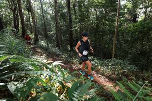 BIB: 531
                            <button type="button" onclick="openModal(22544561)" class="btn btn-primary btn-sm float-right btn-popup" data-toggle="modal" data-target=".modal-high-quality">
                        <i class="fas fa-shopping-cart"></i> Add to Cart
                    </button>
                                            <button type="button" onclick="isThisMe(22544561, true)" class="btn btn-success btn-sm float-right btn-popup btn-isme hidden" data-toggle="tooltip" data-placement="bottom" title="นี่คือรูปของคุณใช่ไหม คลิกที่นี่เพื่อเอาเข้าอัลบั้ม">
                        <i class="fas fa-plus"></i> Add to album
                    </button>
                    <button type="button" onclick="isThisMe(22544561, false)" class="btn btn-warning btn-sm float-right btn-popup btn-isnotme hidden">
                        <i class="fas fa-ban"></i> Remove from album
                    </button>