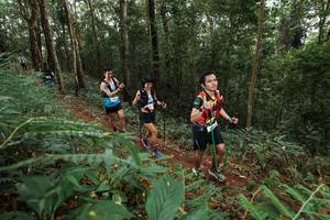 BIB: 
                            <button type="button" onclick="openModal(22584580)" class="btn btn-primary btn-sm float-right btn-popup" data-toggle="modal" data-target=".modal-high-quality">
                        <i class="fas fa-shopping-cart"></i> Add to Cart
                    </button>
                                            <button type="button" onclick="isThisMe(22584580, true)" class="btn btn-success btn-sm float-right btn-popup btn-isme hidden" data-toggle="tooltip" data-placement="bottom" title="นี่คือรูปของคุณใช่ไหม คลิกที่นี่เพื่อเอาเข้าอัลบั้ม">
                        <i class="fas fa-plus"></i> Add to album
                    </button>
                    <button type="button" onclick="isThisMe(22584580, false)" class="btn btn-warning btn-sm float-right btn-popup btn-isnotme hidden">
                        <i class="fas fa-ban"></i> Remove from album
                    </button>