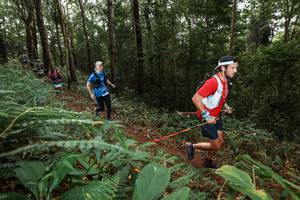 BIB: 
                            <button type="button" onclick="openModal(22537168)" class="btn btn-primary btn-sm float-right btn-popup" data-toggle="modal" data-target=".modal-high-quality">
                        <i class="fas fa-shopping-cart"></i> Add to Cart
                    </button>
                                            <button type="button" onclick="isThisMe(22537168, true)" class="btn btn-success btn-sm float-right btn-popup btn-isme hidden" data-toggle="tooltip" data-placement="bottom" title="นี่คือรูปของคุณใช่ไหม คลิกที่นี่เพื่อเอาเข้าอัลบั้ม">
                        <i class="fas fa-plus"></i> Add to album
                    </button>
                    <button type="button" onclick="isThisMe(22537168, false)" class="btn btn-warning btn-sm float-right btn-popup btn-isnotme hidden">
                        <i class="fas fa-ban"></i> Remove from album
                    </button>