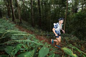 BIB: 
                            <button type="button" onclick="openModal(22533691)" class="btn btn-primary btn-sm float-right btn-popup" data-toggle="modal" data-target=".modal-high-quality">
                        <i class="fas fa-shopping-cart"></i> Add to Cart
                    </button>
                                            <button type="button" onclick="isThisMe(22533691, true)" class="btn btn-success btn-sm float-right btn-popup btn-isme hidden" data-toggle="tooltip" data-placement="bottom" title="นี่คือรูปของคุณใช่ไหม คลิกที่นี่เพื่อเอาเข้าอัลบั้ม">
                        <i class="fas fa-plus"></i> Add to album
                    </button>
                    <button type="button" onclick="isThisMe(22533691, false)" class="btn btn-warning btn-sm float-right btn-popup btn-isnotme hidden">
                        <i class="fas fa-ban"></i> Remove from album
                    </button>